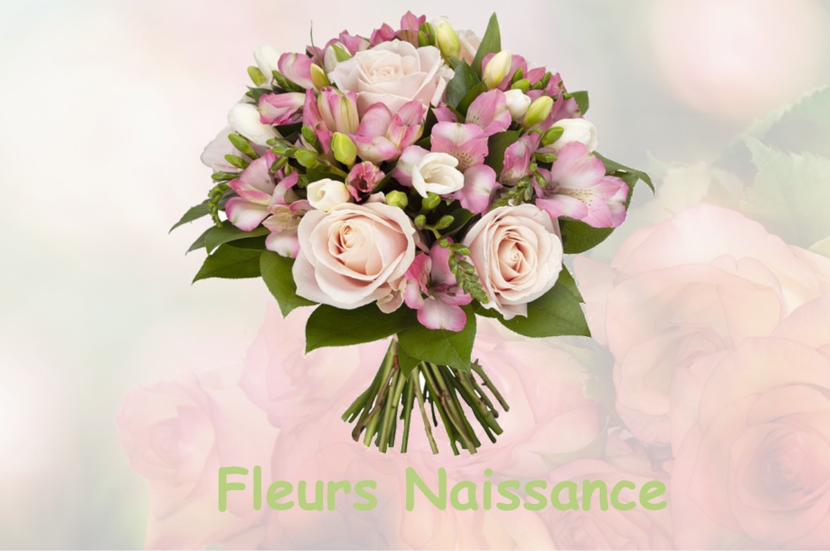 fleurs naissance LA-FORET-FOUESNANT